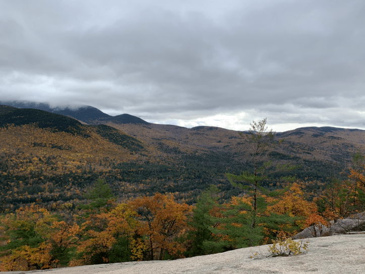 viewfromwelchviewpoint